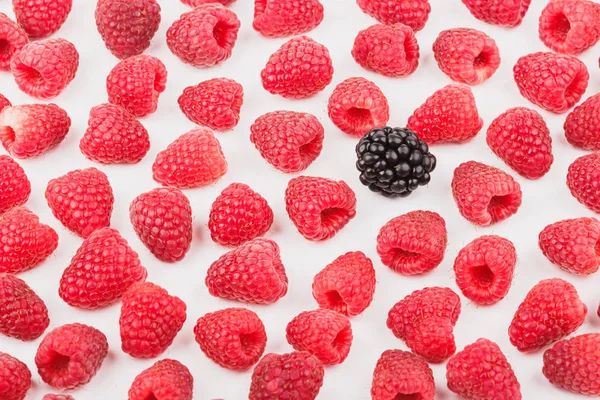 Ahududu ve böğürtlen, izole--dan geçmiş