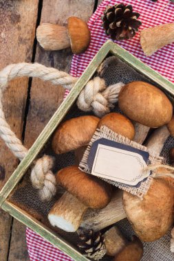 Çiğ beyaz mantar, çam kozalakları ve dekoratif etiketi