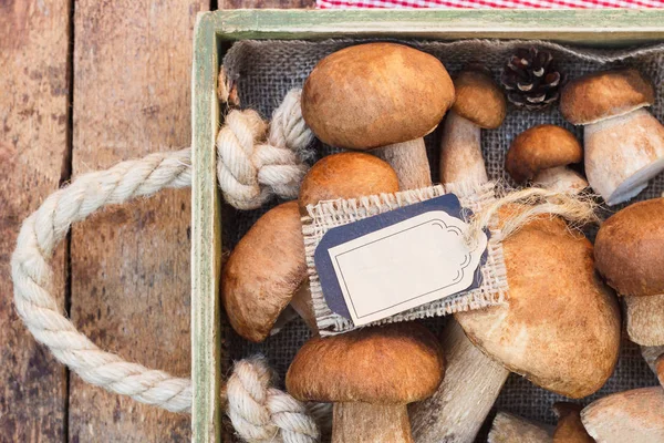 Çiğ beyaz mantar, çam kozalakları ve dekoratif etiketi