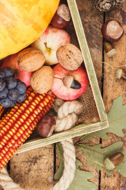 Şükran günü: farklı sebze tepsisi