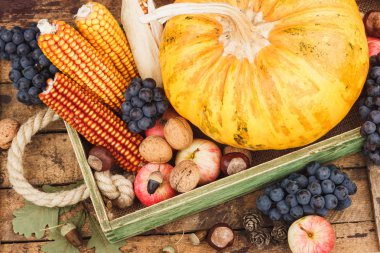Kabak ve farklı olgunlaşmış meyve ve sebze içinde