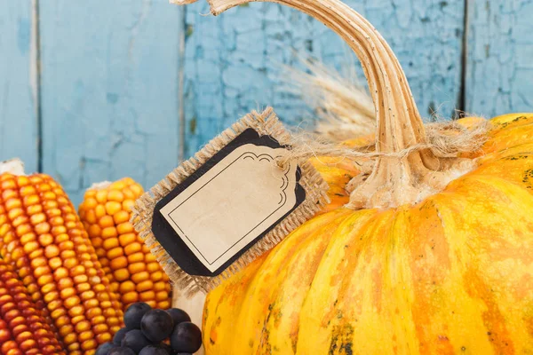 Día de Acción de Gracias: Bandeja de diferentes verduras de otoño — Foto de Stock