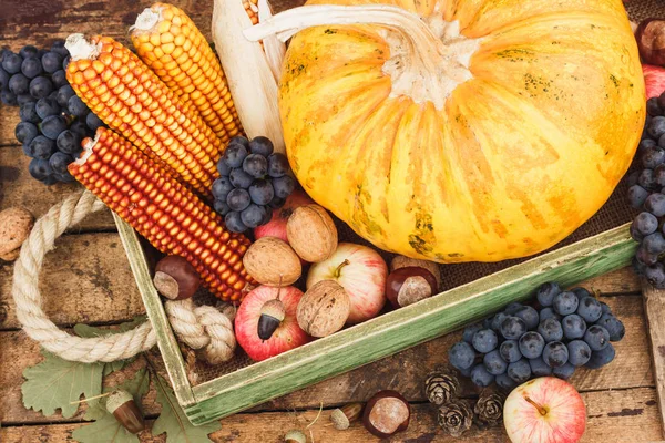 Kabak ve farklı olgunlaşmış meyve ve sebze içinde