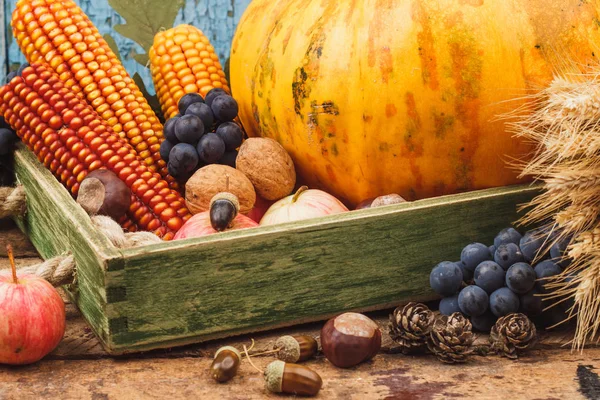 Hálaadás napja: tálca, különböző őszi zöldségek — Stock Fotó