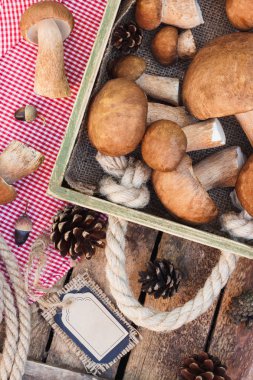 Çiğ beyaz mantar, çam kozalakları ve dekoratif etiketi