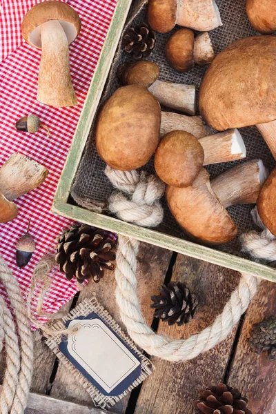 Çiğ beyaz mantar, çam kozalakları ve dekoratif etiketi