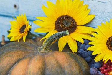 Kabak, ayçiçeği ve farklı olgun sebze