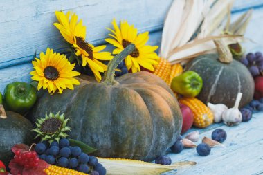 Kabak, ayçiçeği ve farklı olgun sebze