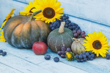 Kabak, ayçiçeği ve farklı olgun sebze