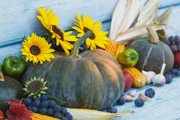 Kabak, ayçiçeği ve farklı olgun sebze