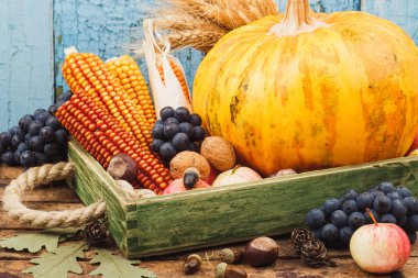 Kabak ve farklı olgunlaşmış meyve ve sebze içinde