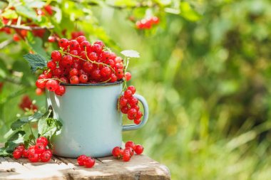 Tablo, yumuşak odak arka plan üzerinde kırmızı kuş üzümü ile metal kupa