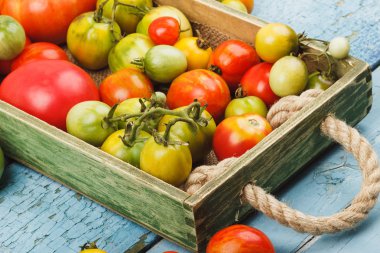 Ahşap tepsi olgun domates tür farklı ayarla