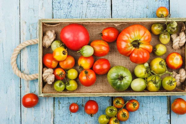 Conjunto de diferentes tipos de tomates maduros en la bandeja de madera — Foto de Stock