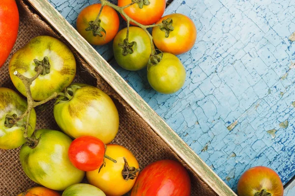 Conjunto de diferentes tipos de tomates maduros en la bandeja de madera — Foto de Stock