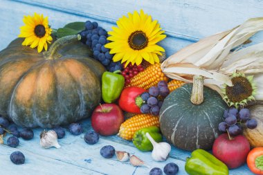 Kabak, ayçiçeği ve farklı olgun sebze