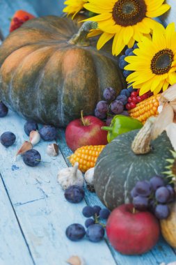 Kabak, ayçiçeği ve farklı olgun sebze