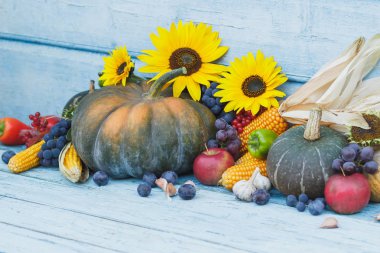 Kabak, ayçiçeği ve farklı olgun sebze