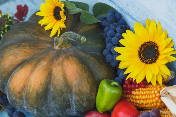 Kabak, ayçiçeği ve farklı olgun sebze