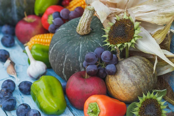 Kabak, ayçiçeği ve farklı olgun sebze