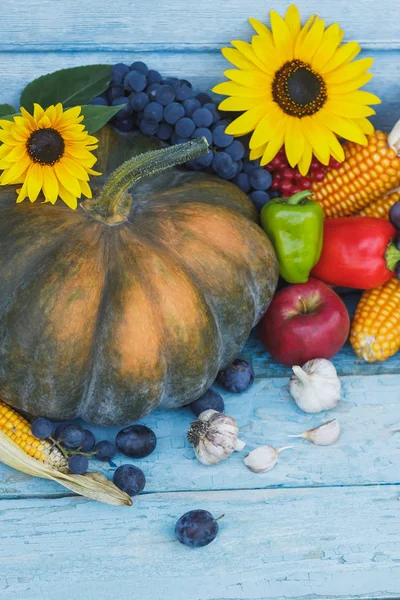 Kabak, ayçiçeği ve farklı olgun sebze