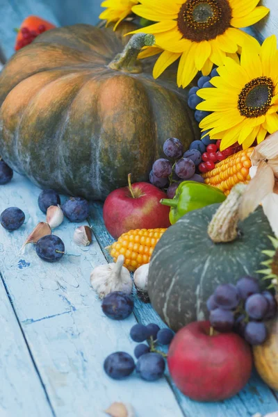 Kabak, ayçiçeği ve farklı olgun sebze