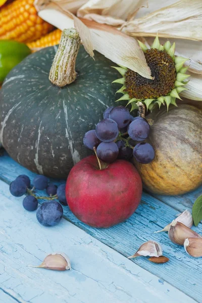 Kabak, ayçiçeği ve farklı olgun sebze
