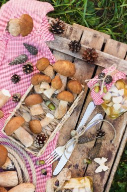 Çiğ beyaz mantar, çam kozalakları ve dekorasyon