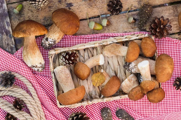 Vegetarian set: raw white mushrooms, pine cones and different decorations — Stock Photo, Image