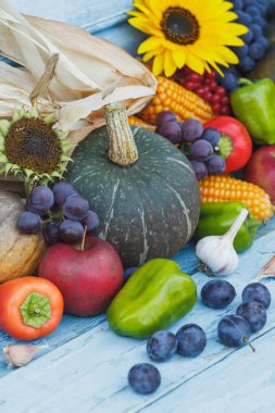 Kabak, ayçiçeği ve farklı olgun sebze