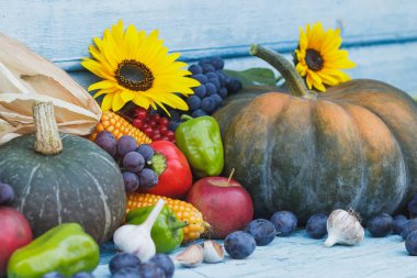 Kabak, ayçiçeği ve farklı olgun sebze