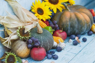 Kabak, ayçiçeği ve farklı olgun sebze