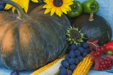Kabak, ayçiçeği ve farklı olgun sebze