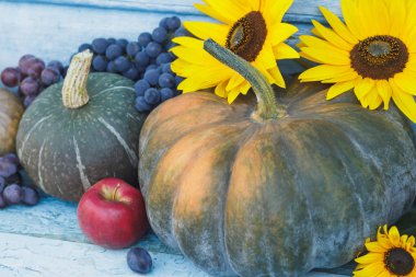 Kabak, ayçiçeği ve farklı olgun sebze