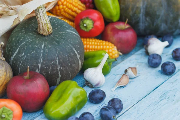 Sütőtök, a kukorica és a különböző érett zöldség — Stock Fotó
