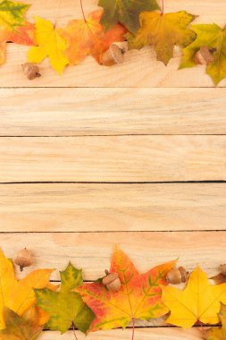 Renkli akçaağaç yaprakları ve meşe palamutları hafif ahşap kurullarında