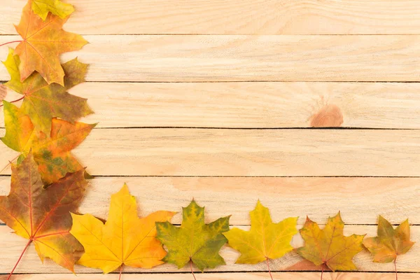 Hafif ahşap kurullarında renkli akçaağaç yaprakları