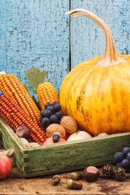 Kabak ve farklı olgunlaşmış meyve ve sebze