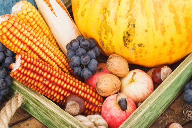 Kabak ve farklı olgunlaşmış meyve ve sebze
