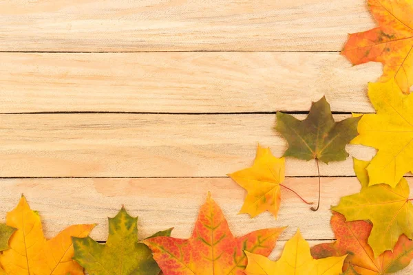 Φύλλα σφενδάμου χρωματιστά σε την ελαφριά ξύλινες σανίδες — Φωτογραφία Αρχείου