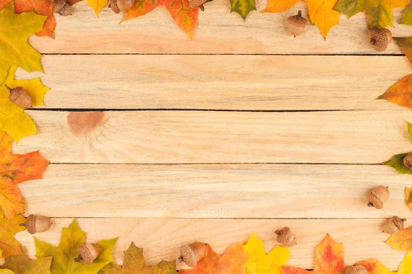 Χρωματιστά maple φύλλα και βελανίδια για το φως ξύλινες σανίδες — Φωτογραφία Αρχείου