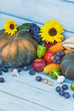 Kabak, ayçiçeği ve farklı olgun sebze