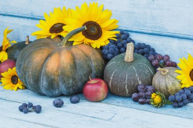 Kabak, ayçiçeği ve farklı olgun sebze