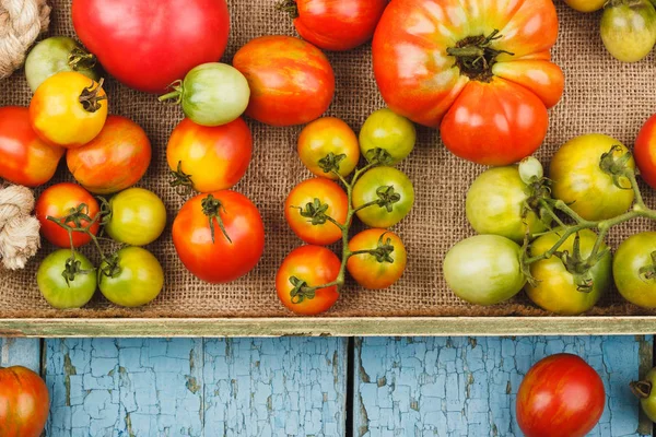 Set de tomates maduros en la bandeja de madera — Foto de Stock