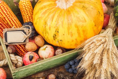 Kabak ve farklı olgun sebze ve meyve