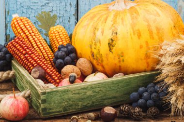 Kabak ve farklı olgun sebze ve meyve