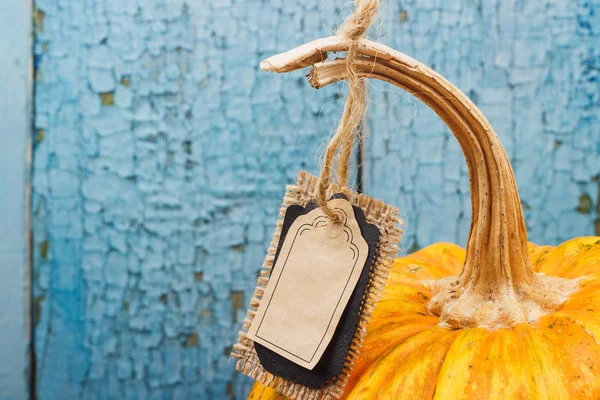 Calabaza naranja con etiqueta decorativa, fondo de madera — Foto de Stock