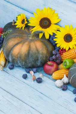 Kabak, Mısır ve farklı olgun sebze ve meyve