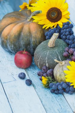 Kabak, ayçiçeği ve farklı olgun sebze