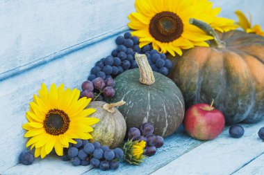 Kabak, ayçiçeği ve farklı olgun sebze
